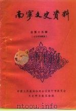 南宁文史资料  总第15辑  文化专辑续集（1992 PDF版）