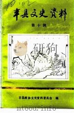 丰县文史资料  第10辑（1992 PDF版）