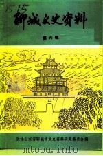 聊城文史资料  第6辑   1991  PDF电子版封面    中国人民政治协商会议山东省聊城市委员会文史资料研究委员会编 