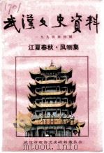 武汉文史资料  第58辑（1994 PDF版）