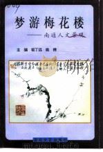 梦游梅花楼  南通人文景观（1995 PDF版）