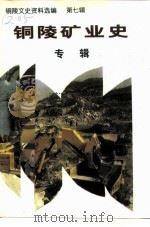 铜陵文史资料选编  第7辑  铜陵矿业史专辑（1997 PDF版）