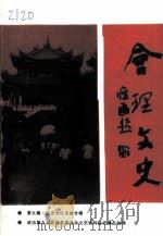 会理文史  第9辑  历史文化名城专辑（1996 PDF版）