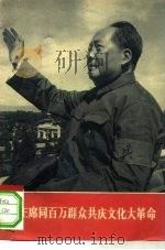 毛主席同百万群众共庆文化大革命   1966  PDF电子版封面     