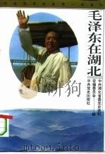 毛泽东在湖北（1993 PDF版）