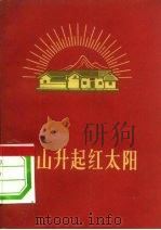 韶山升起红太阳（1970 PDF版）