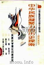 中华民族凝聚力的历史探索  民族史学理论问题研究（1994 PDF版）