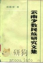 云南少数民族研究文集（1986 PDF版）