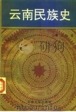 云南民族史（1994 PDF版）