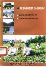 景东彝族自治县概况（1990 PDF版）