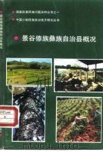 景谷傣族彝族自治县概况   1990  PDF电子版封面  7536703023  《景谷傣族彝族自治县概况》编写组编 