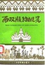 西双版纳概览   1993  PDF电子版封面  7536706251  征鹏主编；西双版纳州政府接待处编 