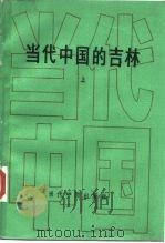 当代中国的吉林  上   1991  PDF电子版封面  7800920054  《当代中国》丛书编辑部 