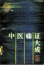 中医痛证大成（1993 PDF版）