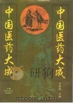 中国医药大成（1994 PDF版）