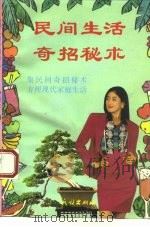 民间生活奇招秘术（1993 PDF版）