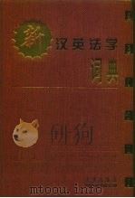 新汉英法学词典（1998 PDF版）