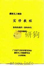 藏密无上瑜加  实修教程     PDF电子版封面    张伟杰（图丹·班玛华丹） 