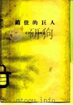 锁住的巨人   1965  PDF电子版封面  2002·204  （美）丹汉姆著；何国贤等译 