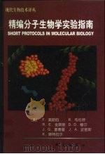 精编分子生物学实验指南   1998  PDF电子版封面  7030064089  （美）F.奥斯伯（Frederick M.Ausubel）等 
