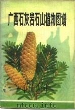 广西石灰岩石山植物图谱（1982 PDF版）