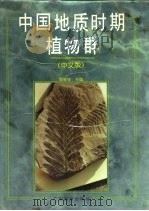 中国地质时期植物群  中文版   1995  PDF电子版封面  7535915361  李星学主编 