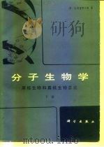 分子生物学  原核生物和真核生物总论  下   1991  PDF电子版封面  7030021282  （美）弗雷费尔德（Freifelder，D.）著；俞梅敏，刘 