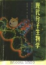 现代分子生物学   1997  PDF电子版封面  7040060108  朱玉贤，李毅编著（北京大学） 