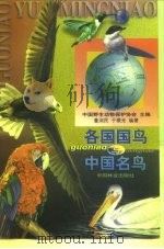 各国国鸟与中国名鸟   1998  PDF电子版封面  7503820012  中国野生动物保护协会主编；董润民，于微光编著 