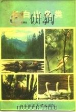 长白山鸟类   1984  PDF电子版封面  13334·4  傅桐生等著 