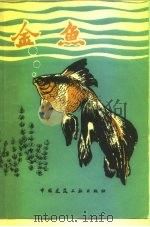 金鱼   1983  PDF电子版封面  15040·4337  袁永江著 
