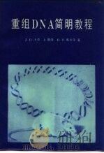 重组DNA简明教程（1987 PDF版）