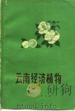 云南经济植物（1973 PDF版）