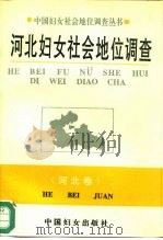 河北妇女社会地位调查（1994 PDF版）
