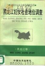 黑龙江妇女社会地位调查  对黑龙江妇女人力资源的调查与分析（1993 PDF版）