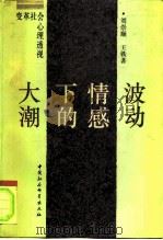 大潮下的情感波动  变革社会心理透视   1993  PDF电子版封面  7500412312  刘崇顺，王铁著 