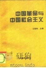 中国革命与中国社会主义   1994  PDF电子版封面  7801090144  王植彬主编 