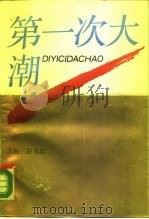 第一次大潮   1989  PDF电子版封面  7542602322  中共上海市委宣传部编 