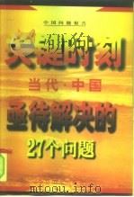 当代中国亟待解决的27个问题  关键时刻   1997  PDF电子版封面    许明 