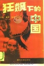 狂飙下的中国（1993 PDF版）