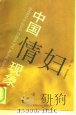 中国情妇现象   1993  PDF电子版封面  7507503623  达情著 