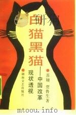 白猫黑猫  中国改革现状透视（1992 PDF版）