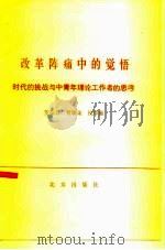 改革阵痛中的觉悟  时代的挑战与中青年理论工作者的思考   1987  PDF电子版封面  7200004197  罗荣兴等著 