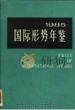 国际形势年鉴  1985   1985  PDF电子版封面  17197·1023  陈启懋等主编 