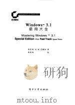Windows3.1使用大全（1994 PDF版）