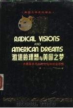 激进的理想与美国之梦  大萧条岁月中的文化和社会思想   1992  PDF电子版封面  7810096400  （美）佩尔斯（Pells，Richard H.）著；卢允中等 
