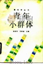青年小群体   1989  PDF电子版封面  750651124X  杨桂华，汪新建主编 