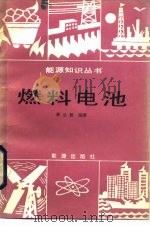 燃料电池   1984  PDF电子版封面  15277·48  郭公毅编 