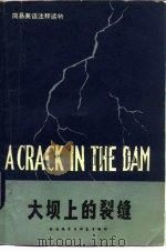 大坝上的裂缝（1980 PDF版）