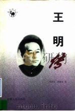 王明传（1998 PDF版）